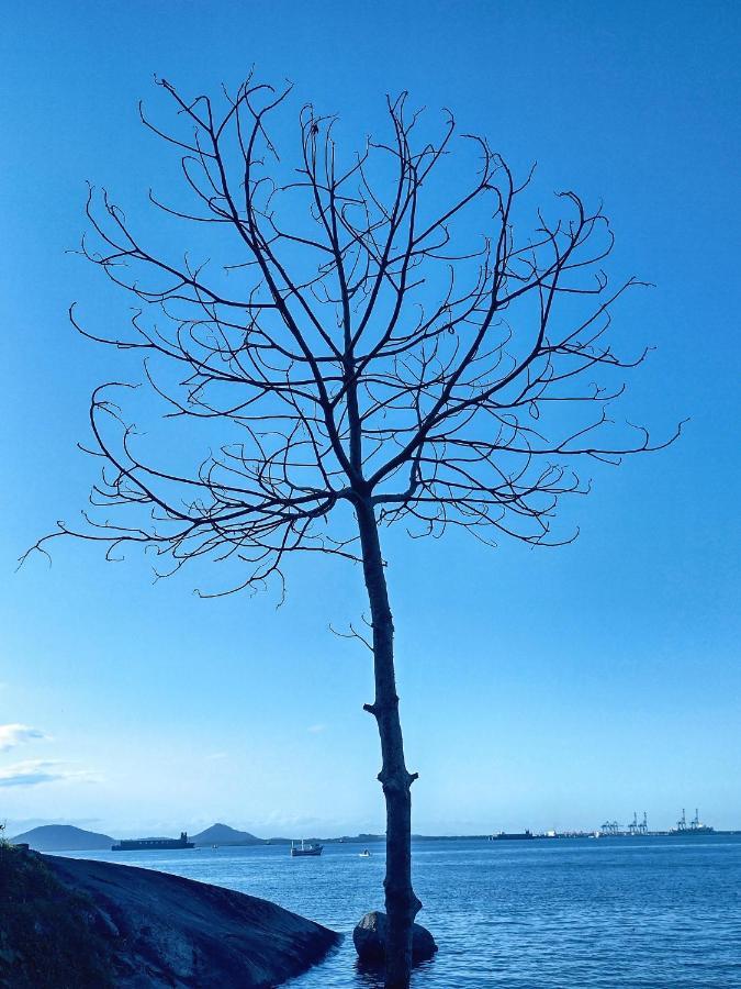 Pousada Pedra Das Tartarugas 南圣弗朗西斯科 外观 照片